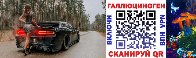 Галлюциногенные грибы Psilocybe  как найти закладки  Углич 